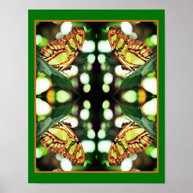 Green Butterfly Posing Abstract  Poster (Front)