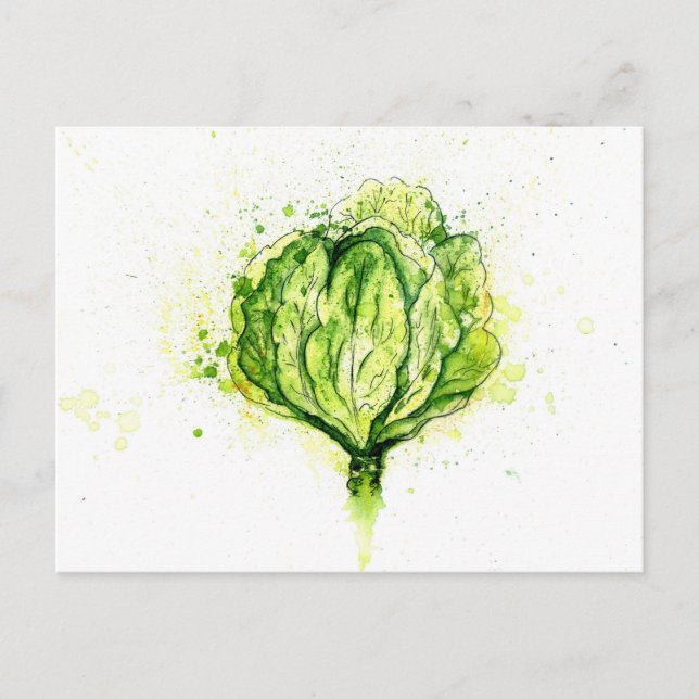 Green Cabbage Watercolor Postcard (Front)