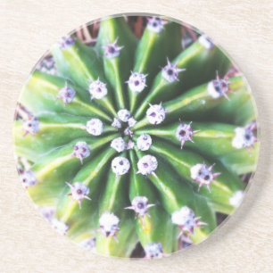 Green Cactus Coaster