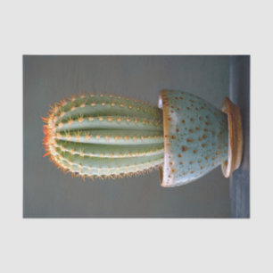 Green Cactus in a Teal Ceramic Pot Decoupage Tissue Paper