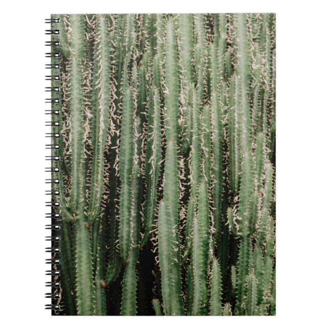 Green cactus plant close-up photo notebook (Front)