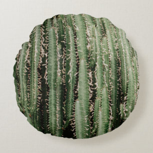 Green cactus plant close-up photo round cushion