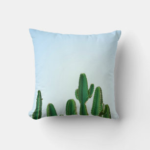 Green cactus plant in white background cushion