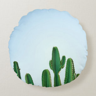 Green cactus plant in white background round cushion