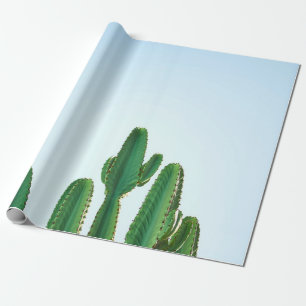 Green cactus plant in white background wrapping paper