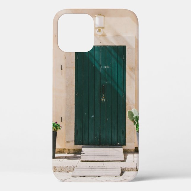 GREEN CACTUS PLANT NEAR GREEN DOOR Case-Mate iPhone CASE (Back)