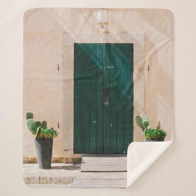 GREEN CACTUS PLANT NEAR GREEN DOOR SHERPA BLANKET (Front)
