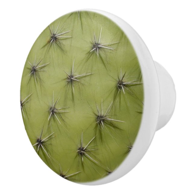 Green cactus pricks door and drawer pull knobs (Right)