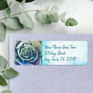 Green cactus succulent photo address stylish chic