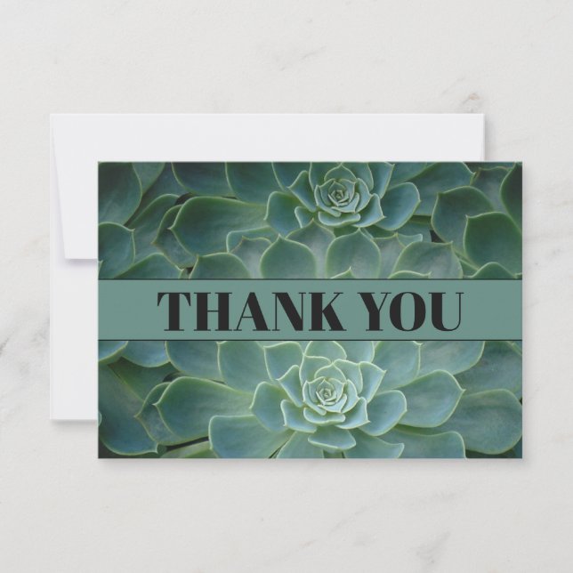 Green Cactus / Succulents Thank You Card (Front)