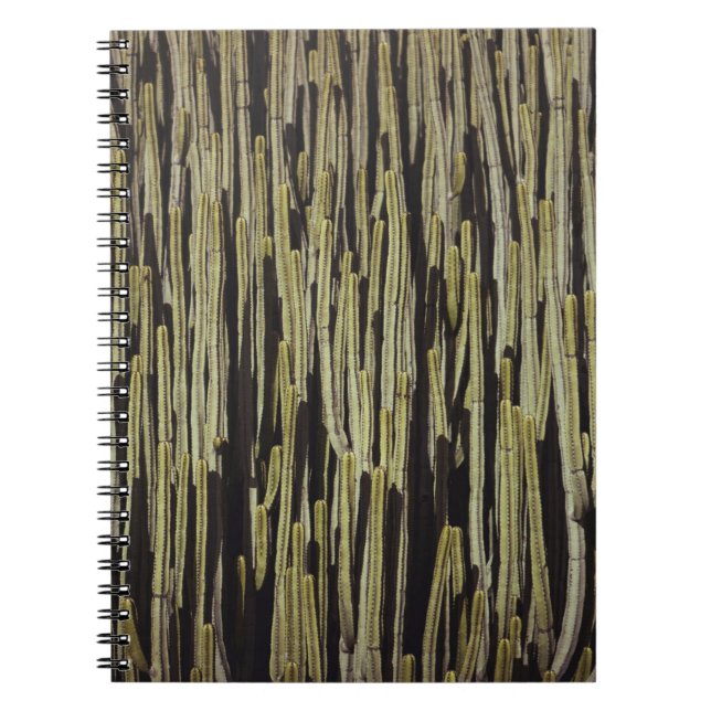 Green cactus wallpaper notebook (Front)
