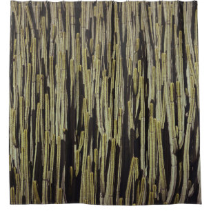 Green cactus wallpaper shower curtain