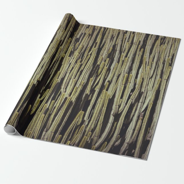 Green cactus wallpaper wrapping paper (Unrolled)