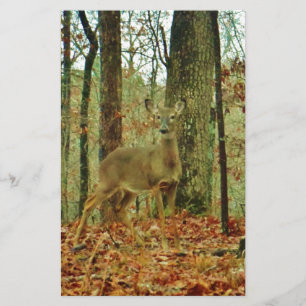 Green Camo,Camouflage Deer Stationery