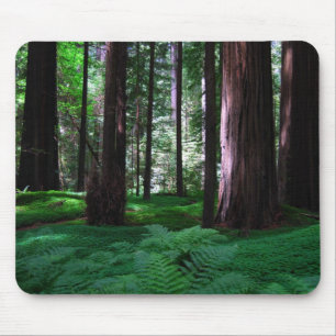 Green Carpet of the Redwoods Mouse Mat