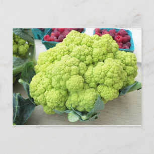 Green Cauliflower Postcard