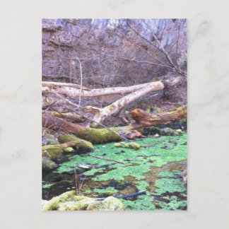 Green Cave Postcard