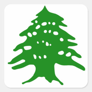 Green Cedar / Lebanon Cedar Square Sticker