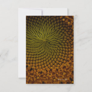 Green Centre Sunflower Card