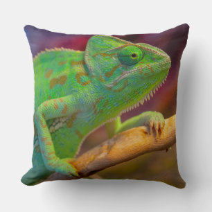 Green Chameleon Cushion