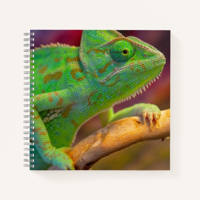 Green Chameleon Notebook (Front)