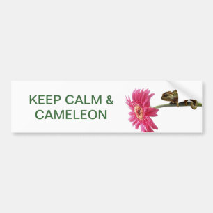 Green chameleon on pink flower bumper sticker