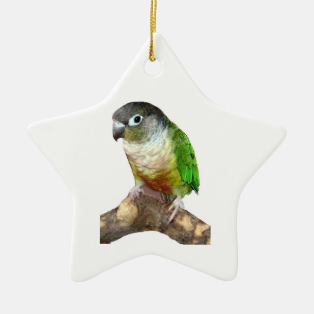 Green Cheek Conure Ceramic Tree Decoration (Front)