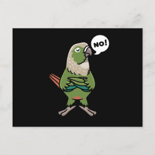 Green Cheek Conure Green-Cheeked Parakeet Postcard