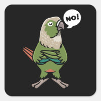 Green Cheek Conure Green-Cheeked Parakeet