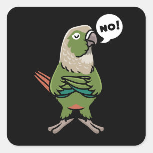 Green Cheek Conure Green-Cheeked Parakeet Square Sticker