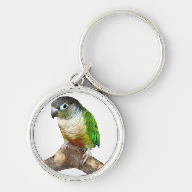 Green Cheek Conure Key Ring (Front)