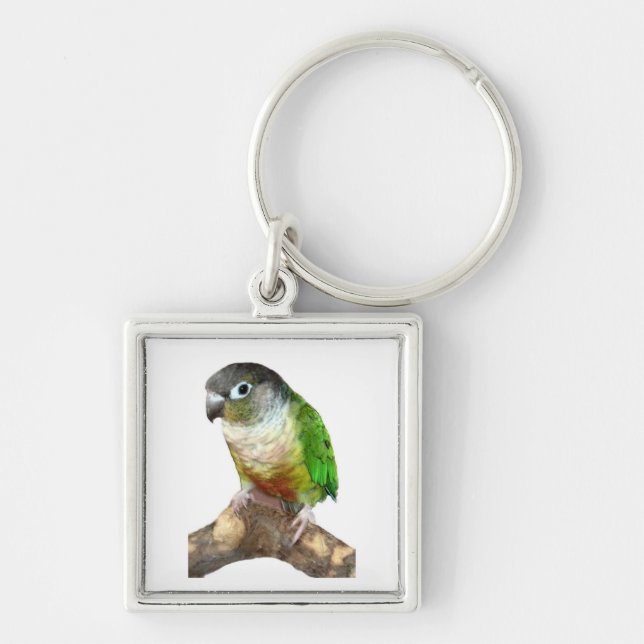 Green Cheek Conure Key Ring (Front)