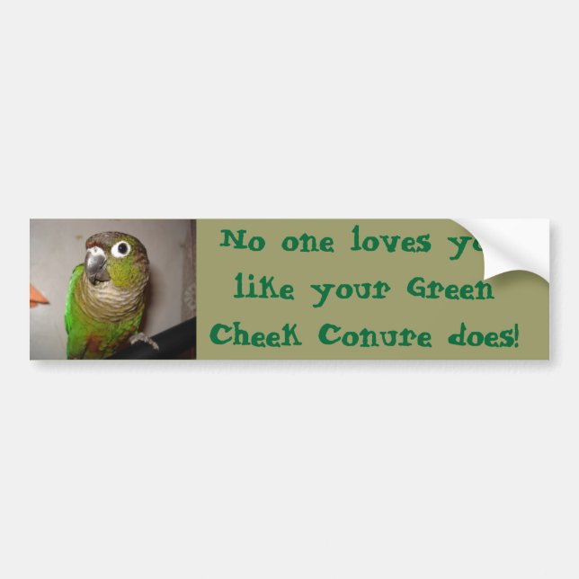 Green Cheek Conure Love Bumper Sticker (Front)
