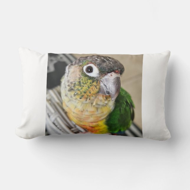 Green Cheek Conure Parrot Lumbar Cushion (Front)
