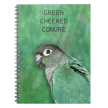 Green Cheeked Conure - beautiful bird