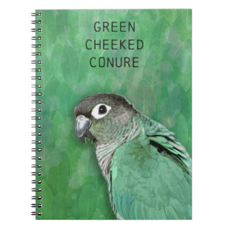 Green Cheeked Conure - beautiful bird Notebook