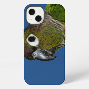 Green Cheeked Conure iPhone 13 Case