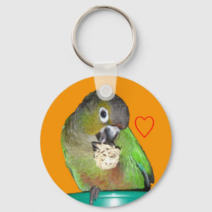 Green-cheeked conure keychain