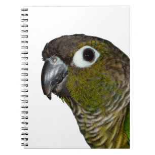 Green Cheeked Conure Notebook