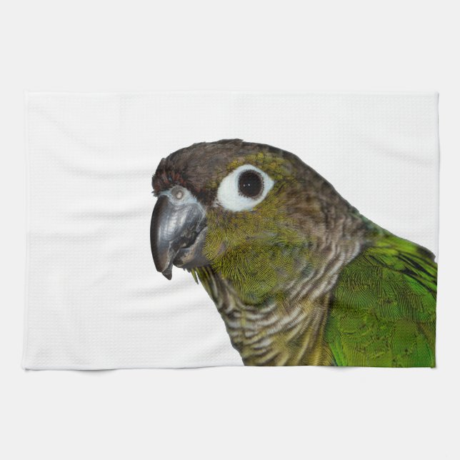 Green Cheeked Conure Tea Towel (Horizontal)