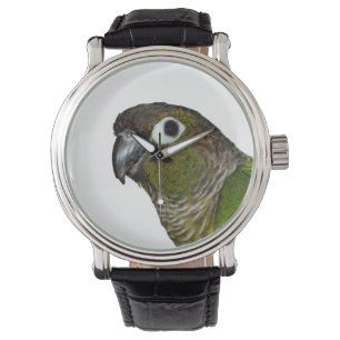 Green Cheeked Conure Watch