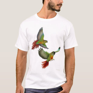 Green Cheeked Conures T-Shirt