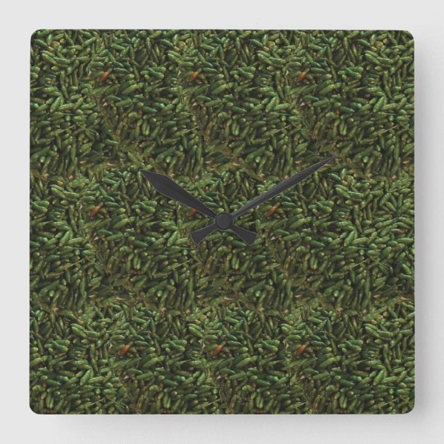 Green Chilli Pepper  Square Wall Clock (Front)