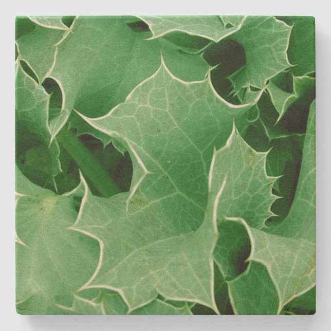 Green Christmas Holly Stone Coaster (Front)