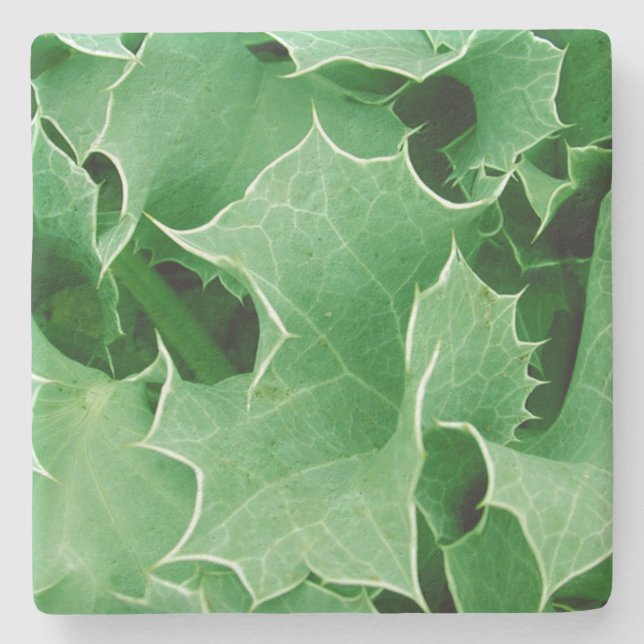Green Christmas Holly Stone Coaster (Front)