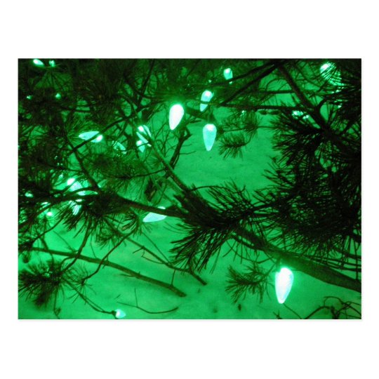 Green Christmas Lights Postcard