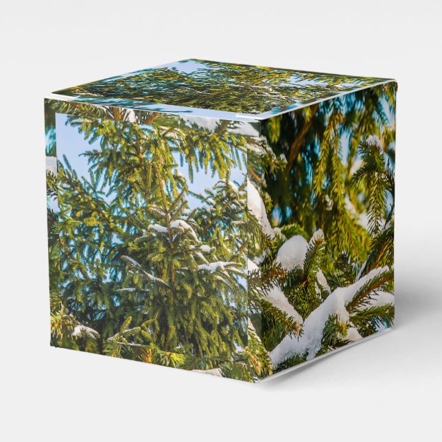 Green Christmas Tree In Snow Favour Box (Front Side)