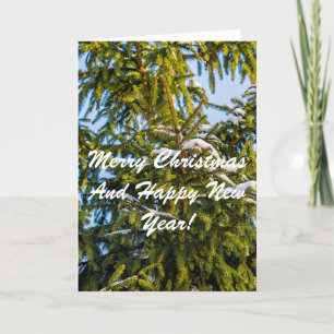 Green Christmas Tree In Snow Holiday Card