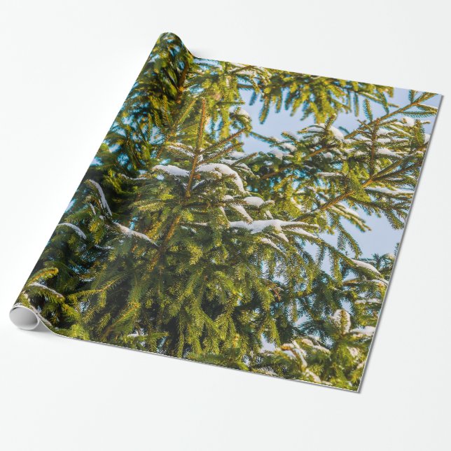 Green Christmas Tree In Snow Wrapping Paper (Unrolled)