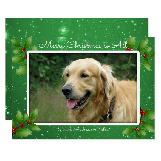 Green Christmas Twinkling Stars Big Photo Card